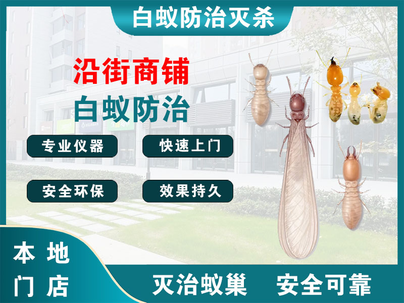 常熟沿街商铺白蚁防治