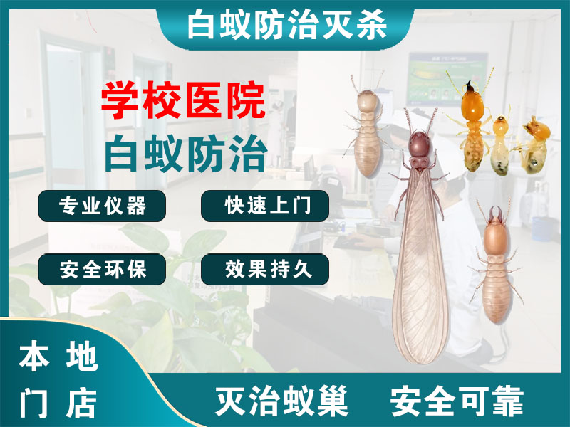 常熟学校医院白蚁防治