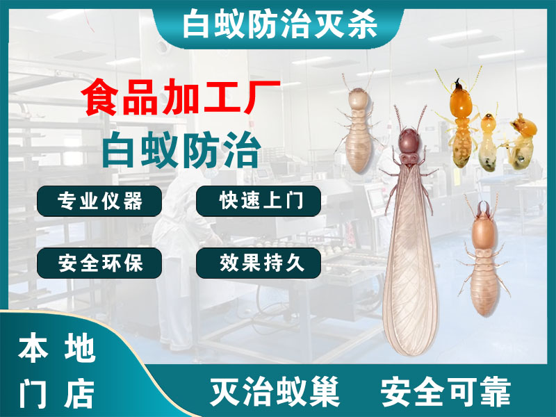 常熟食品加工厂白蚁防治