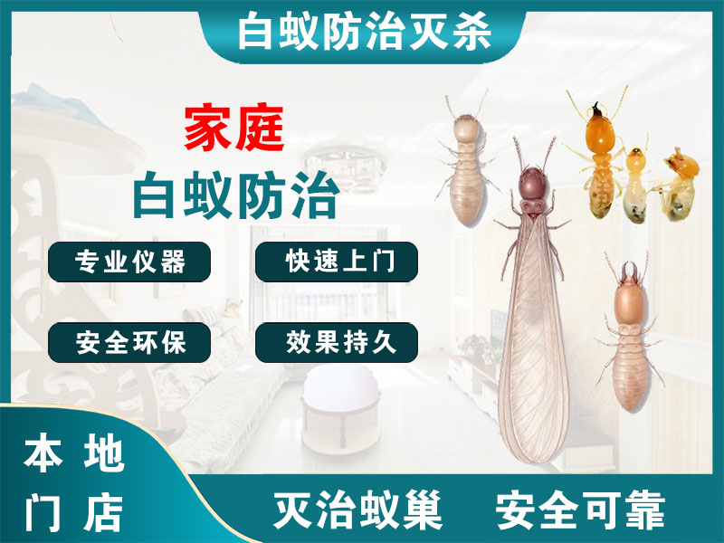 常熟家庭白蚁防治