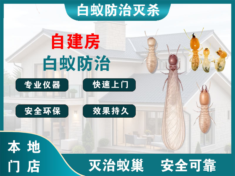 常熟自建房白蚁防治
