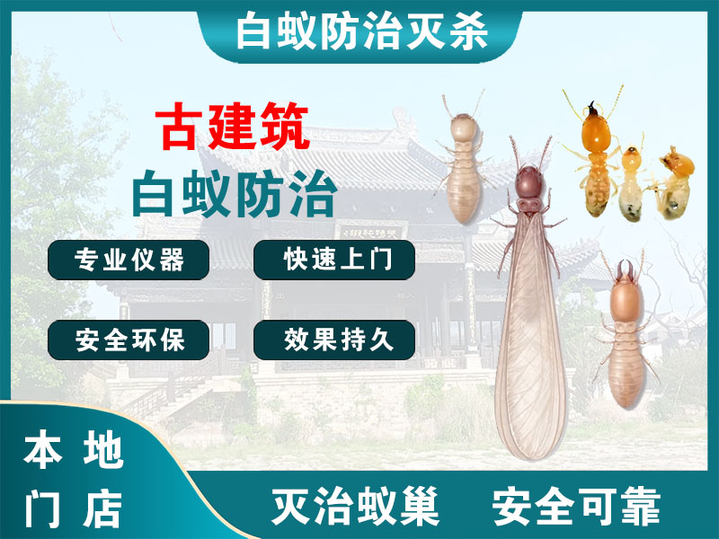 常熟古建筑白蚁防治