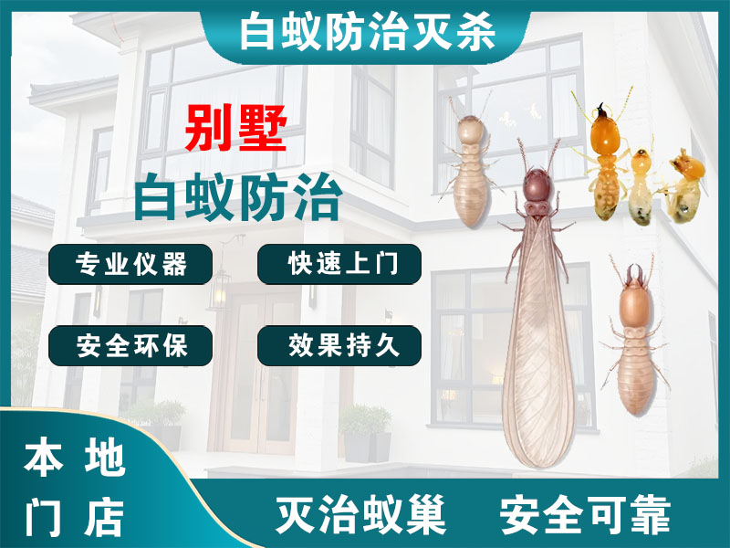 常熟别墅白蚁防治