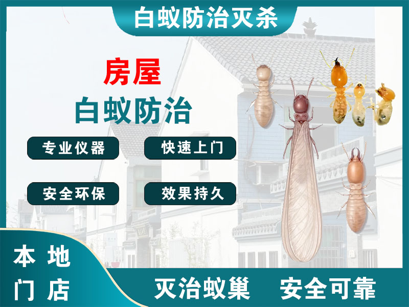 常熟房屋白蚁防治